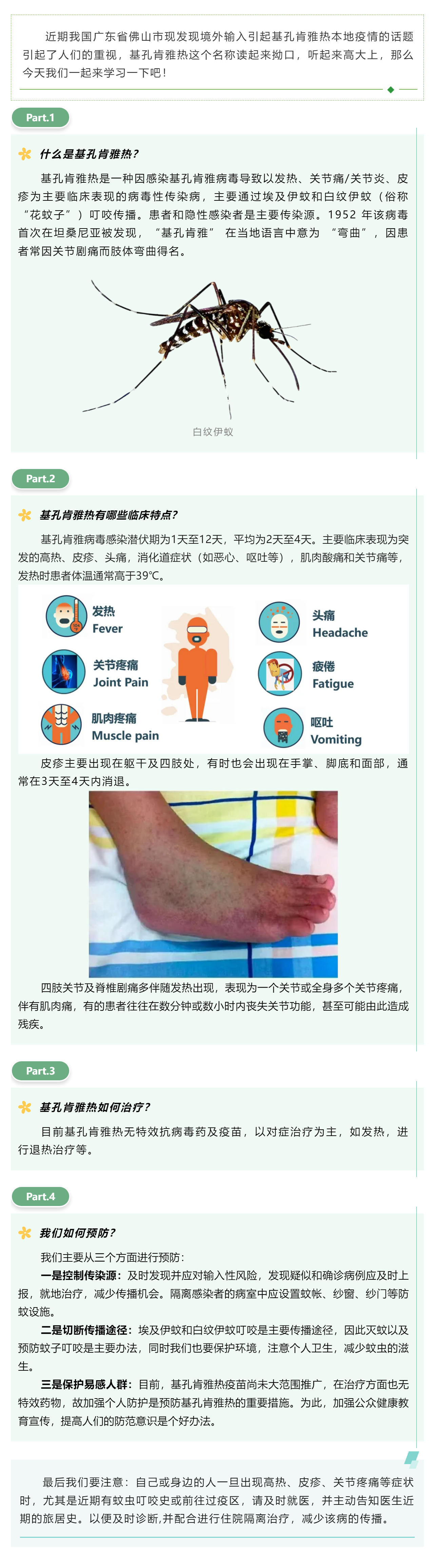 基孔肯雅熱，你讀“順”了嗎？.png