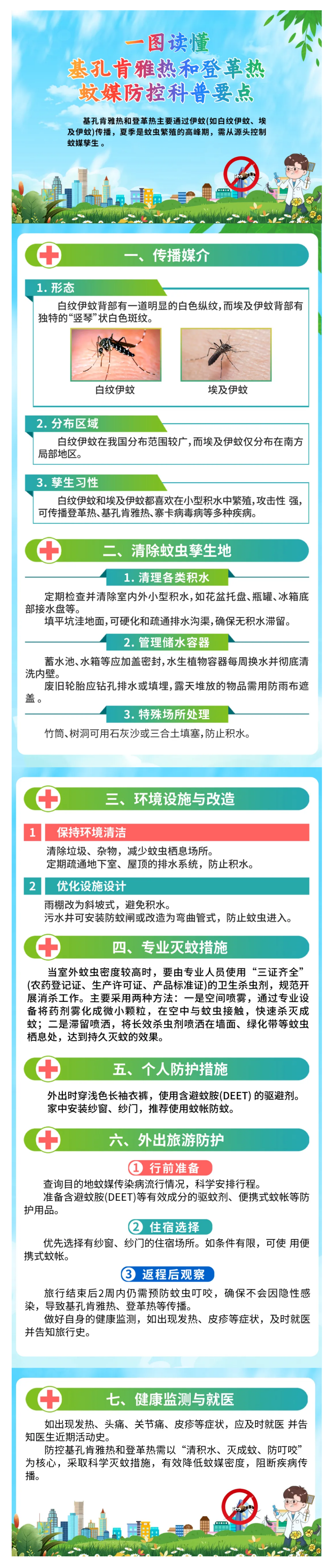 【科普】基孔肯雅熱和登革熱蚊媒防控要點(diǎn).png